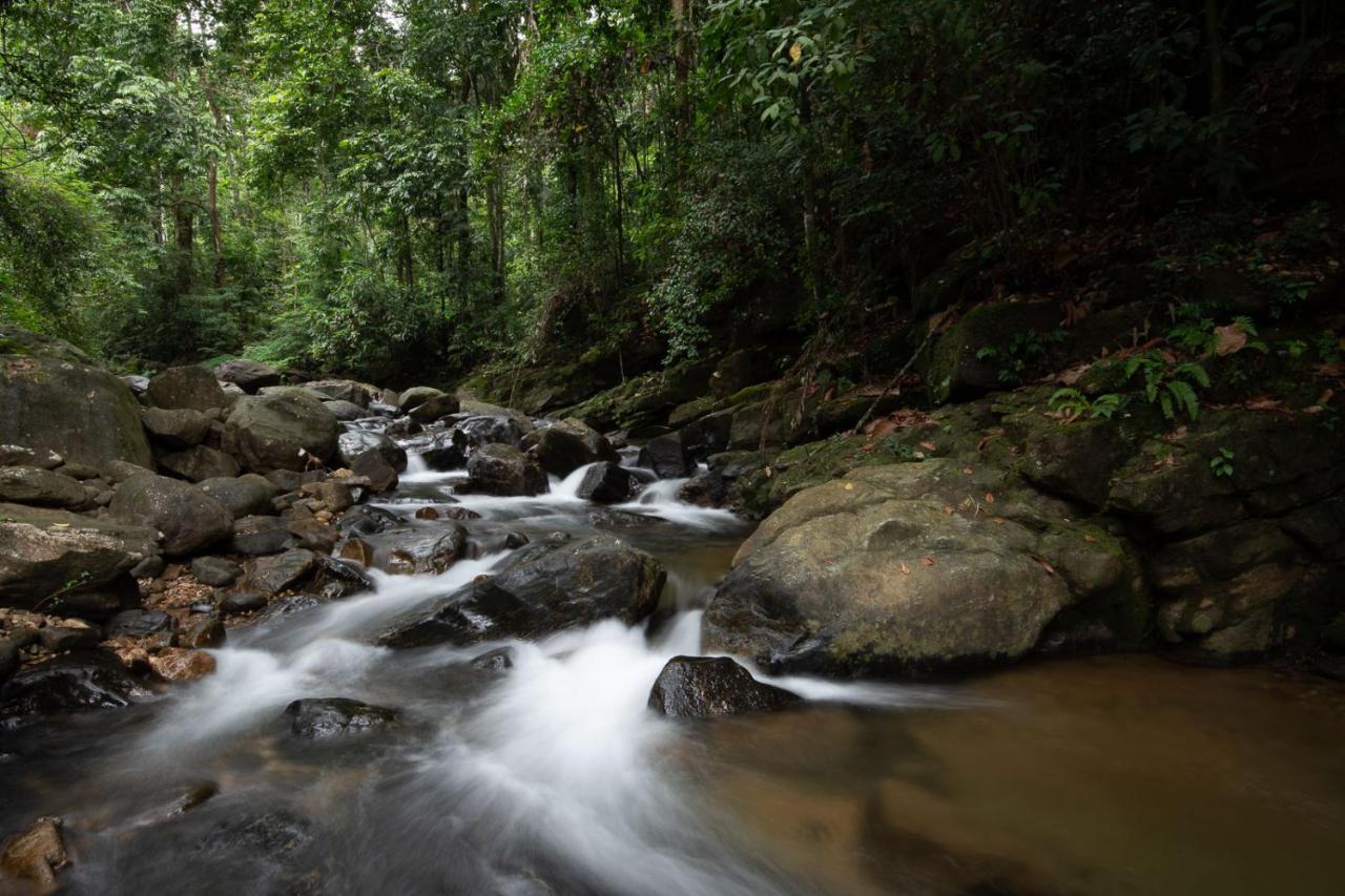 Moksha At Kitulgala - Rainforest Boutique Hotel Eksteriør bilde
